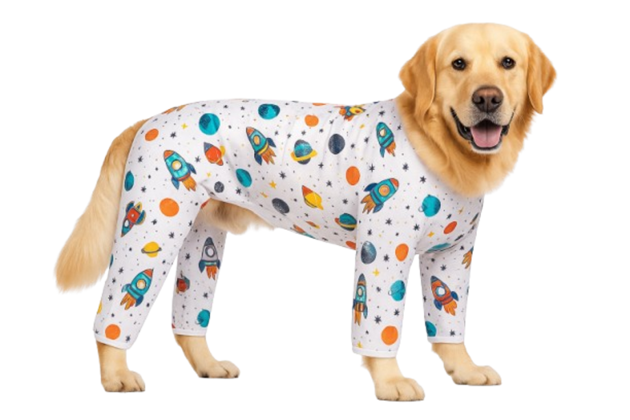 alt="Body Protector Pijama Perros – detalle de costuras"
