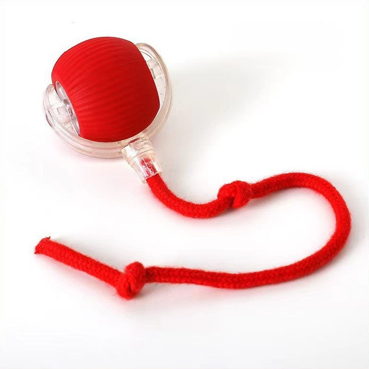 PELOTA DE JUGUETE RECARGABLE - Trokales