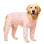 alt="Body Protector Pijama Perros – vista lateral"