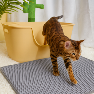 ALFOMBRA DE ARENA PARA GATOS - Trokales