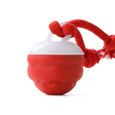 PELOTA INTERACTIVA RECARGABLE CON CONTROL REMOTO - Trokales