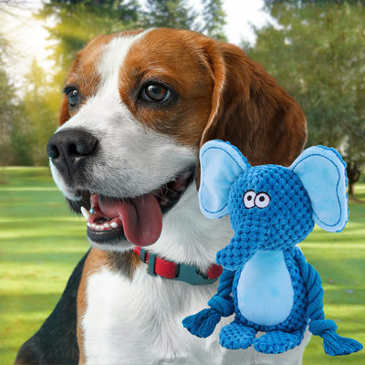 JUGUETE DE PELUCHE CHIRRIANTE CON CUERDA - Trokales