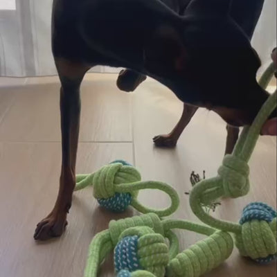 PACK DE TRES CUERDAS CON PELOTAS PARA PERROS